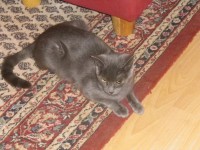 /album/fotogalerie-finessa/fini1-jpg/