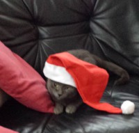 /album/fotogalerie-finessa/fini01-jpg/