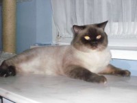 /album/fotogalerie-trachtigkeit/ephias-jpg3/